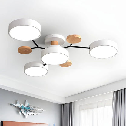 Ronde Plafondlamp IJzer met Acryl LED-lichtpunten