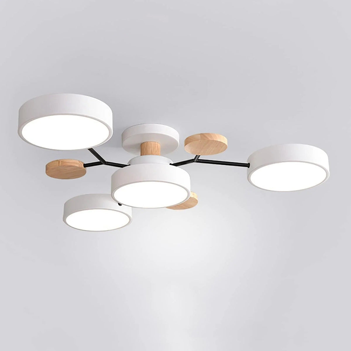 Ronde Plafondlamp IJzer met Acryl LED-lichtpunten
