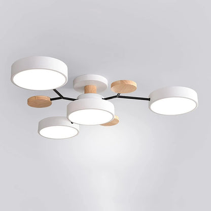Ronde Plafondlamp IJzer met Acryl LED-lichtpunten