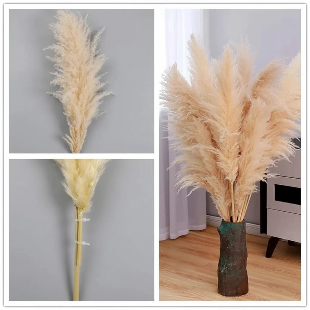 Kunstmatige Pampasgras Stengels 65cm - Decoratieve Droogbloemen Set