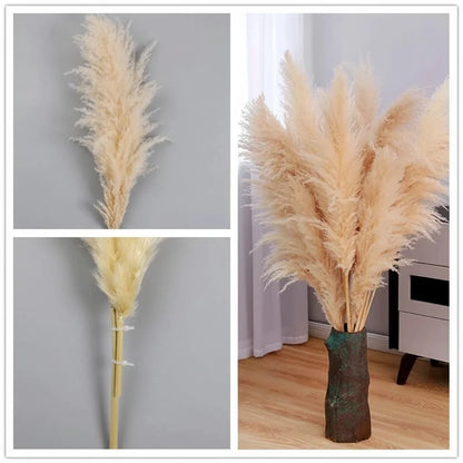 Kunstmatige Pampasgras Stengels 65cm - Decoratieve Droogbloemen Set