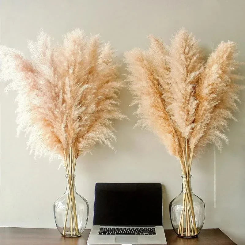 Kunstmatige Pampasgras Stengels 65cm - Decoratieve Droogbloemen Set