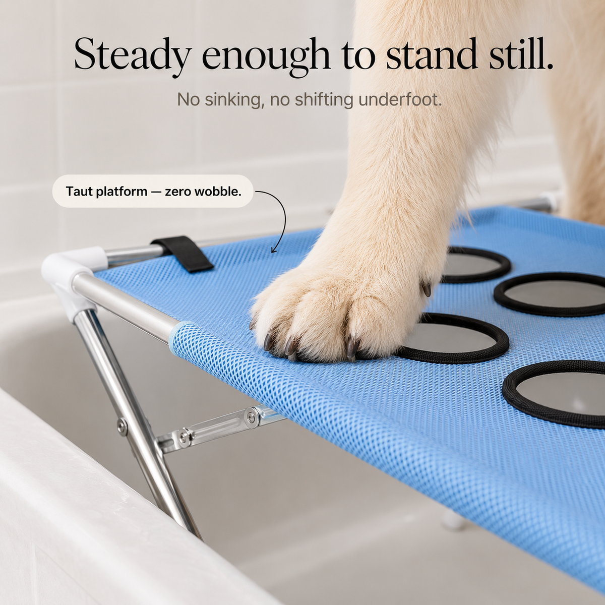 Verhoogd Anti-Slip Badplatform voor Honden - RVS