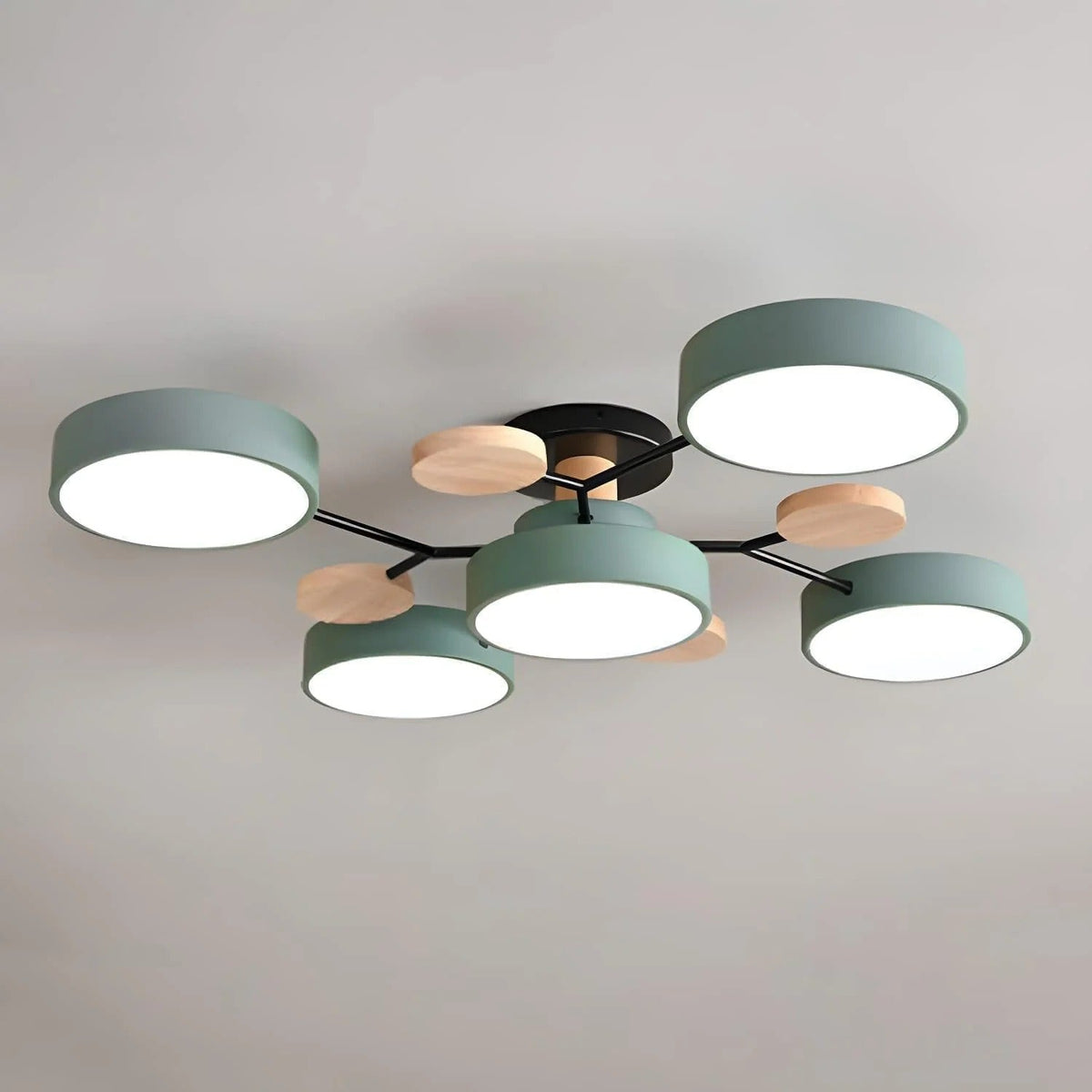 Ronde Plafondlamp IJzer met Acryl LED-lichtpunten