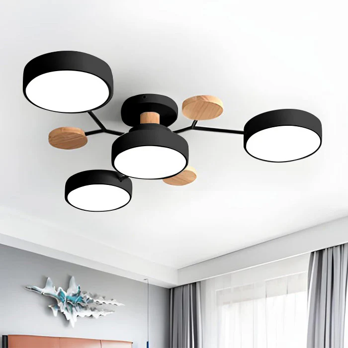 Ronde Plafondlamp IJzer met Acryl LED-lichtpunten