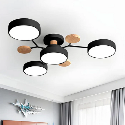 Ronde Plafondlamp IJzer met Acryl LED-lichtpunten