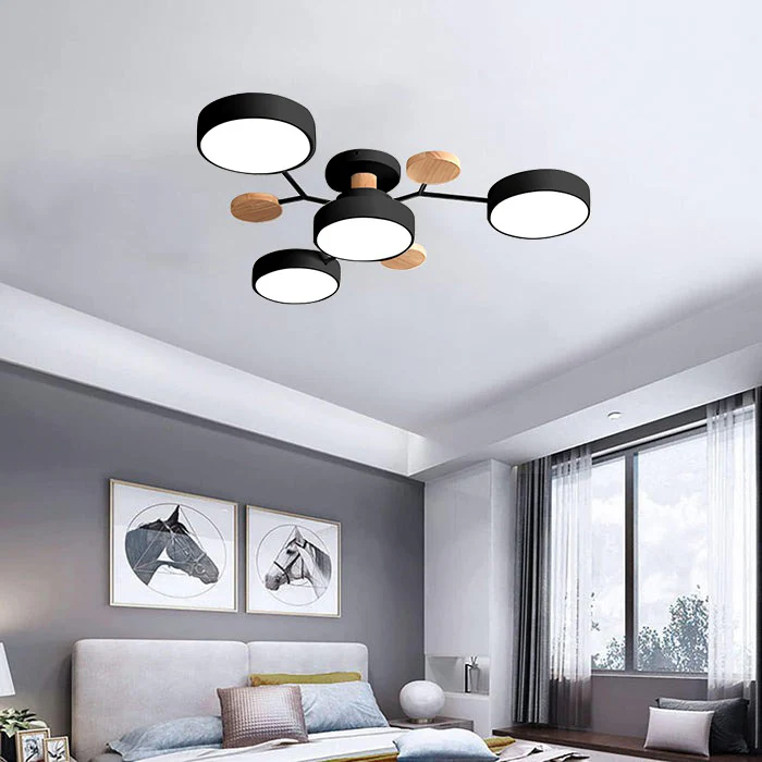 Ronde Plafondlamp IJzer met Acryl LED-lichtpunten