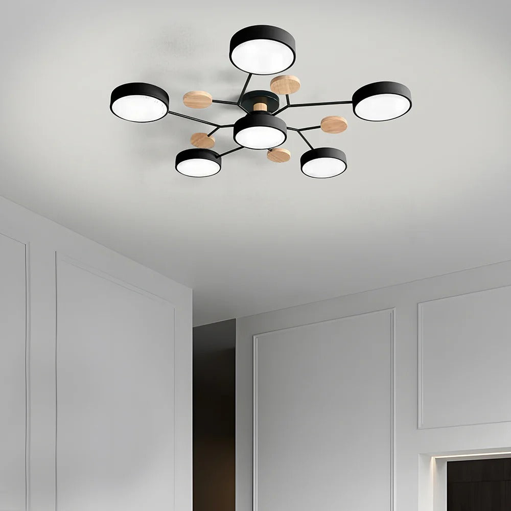Ronde Plafondlamp IJzer met Acryl LED-lichtpunten