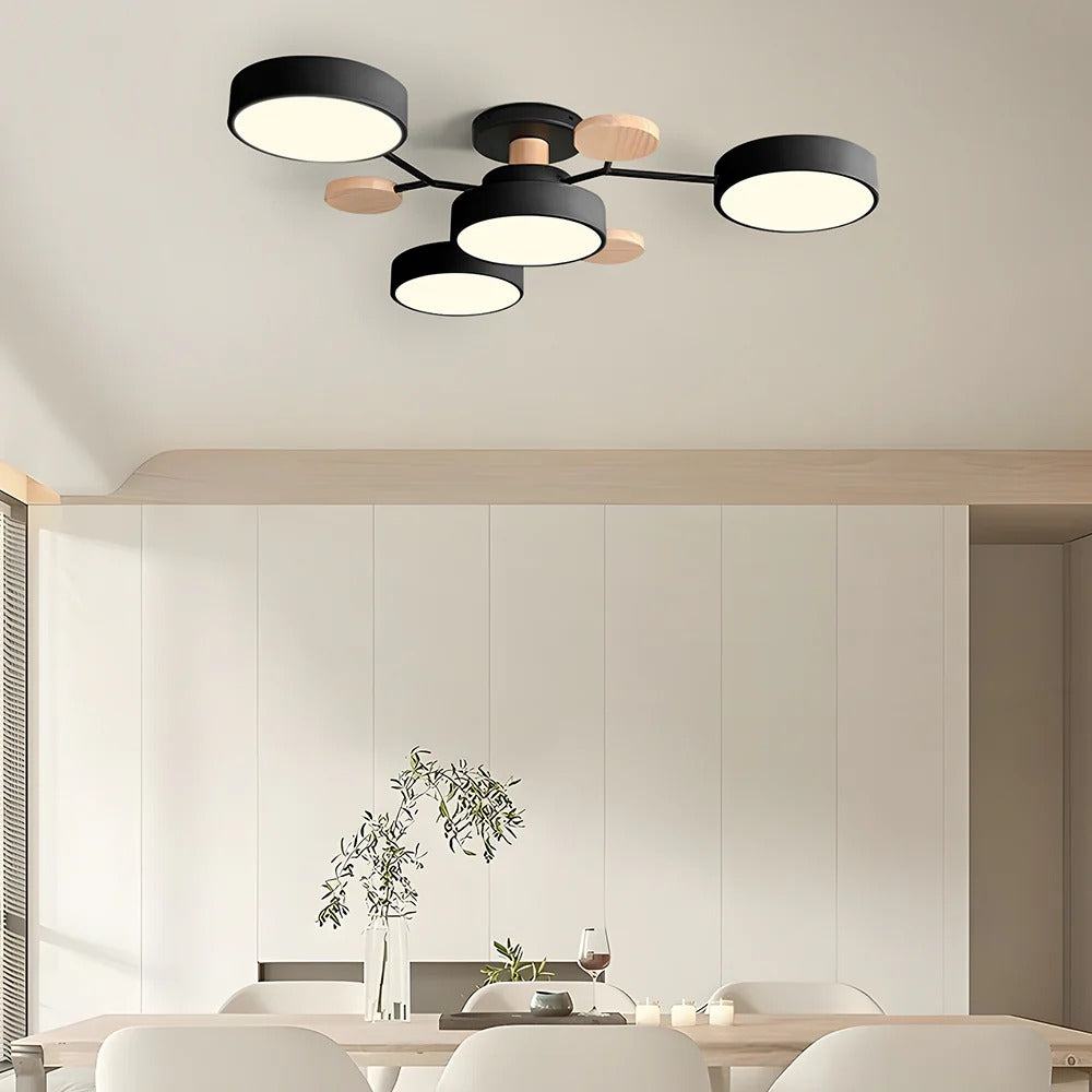 Ronde Plafondlamp IJzer met Acryl LED-lichtpunten