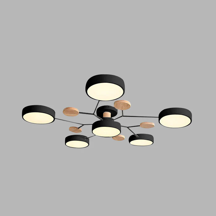 Ronde Plafondlamp IJzer met Acryl LED-lichtpunten