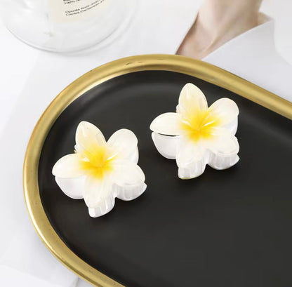 Luna - Bloemvormige Haarclip met Stevige Sluiting