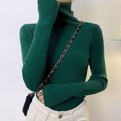 Dames Basic Coltrui – Hoge col, lange mouw, casual/kantoor, herfst en winter