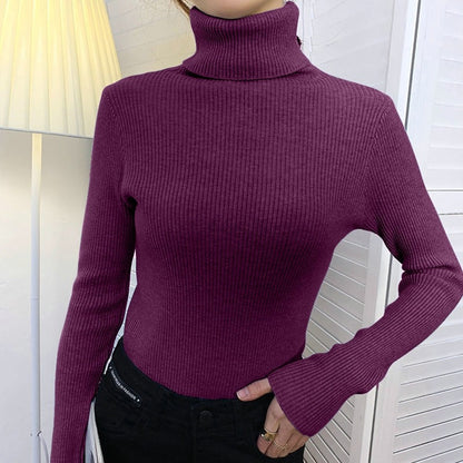 Dames Basic Coltrui – Hoge col, lange mouw, casual/kantoor, herfst en winter
