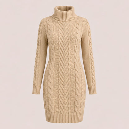 Kay Chunky Cable Knit Turtleneck Dress_1