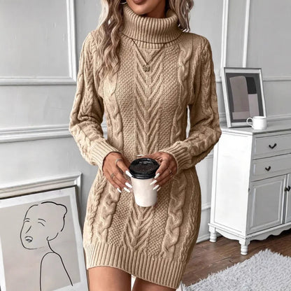 Kay Chunky Cable Knit Turtleneck Dress_4